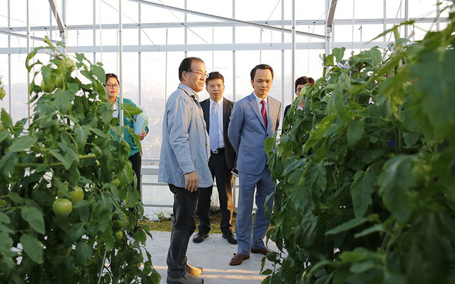 Tập đoàn FLC đề xuất nghiên cứu xây dựng khu nông nghiệp công nghệ cao tại Đầm Hà